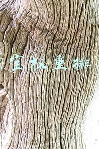 淘宝权重排名