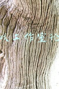 游戏工作室论坛