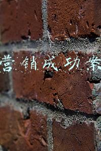 微营销成功案例