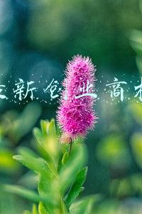 最新创业商机