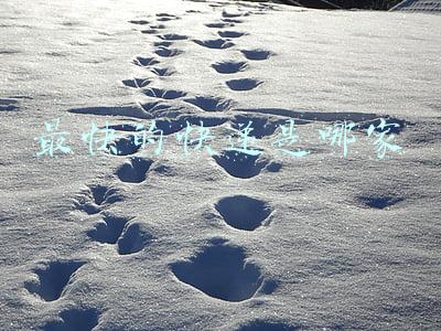 哪家快递公司速度快(快递速度排名)