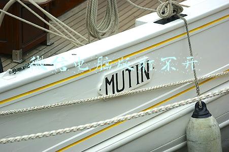 微信电脑版打不开