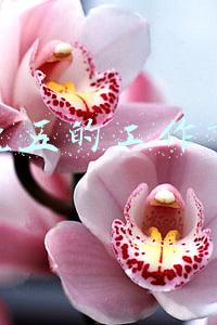 朝九晚五的工作有哪些