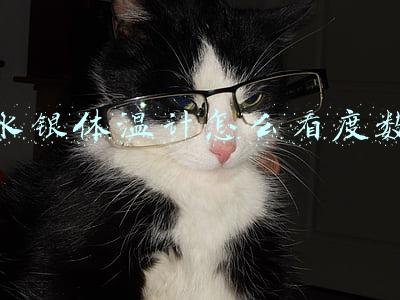 水银体温计怎么看度数 水银体温计怎么看度数