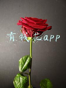 有钱花app下载(还能信谁？西安女子在有钱花APP贷款交了上万元，客服却说她被骗了)