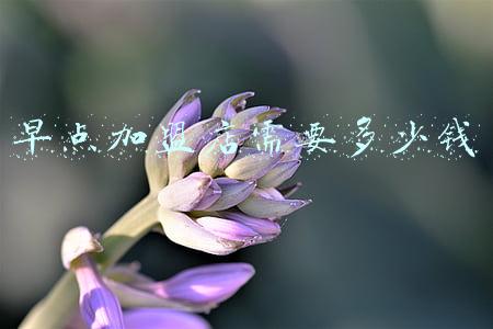 上海松江早点加盟-早点快餐加盟店