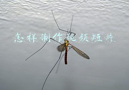 怎样制作视频短片