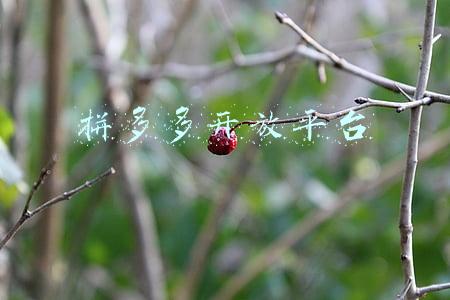 拼多多开放平台