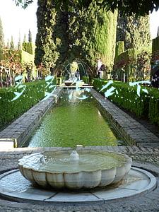 拼多多怎么下载 拼多多怎么下载