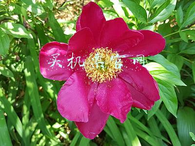 买机票官网 买机票官网