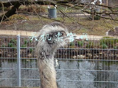 机票网上订票官网(中国驻法使馆：关于10月14日、28日南航CZ348航班被取消的紧急提醒)