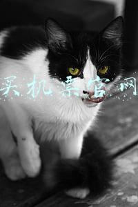 买机票官网 买机票官网