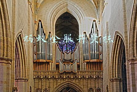 蚂蚁金服井贤栋 蚂蚁金服井贤栋