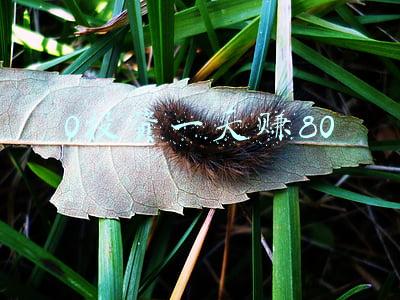 0投资一天赚80 0投资一天赚80