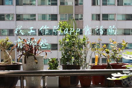 找工作的app靠谱的有哪些