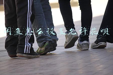 闲鱼怎么设置允许花呗