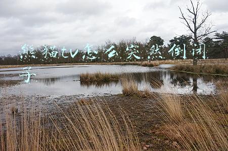 熊猫tv怎么突然倒闭了 熊猫tv怎么突然倒闭了