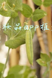 买化妆品app推荐排行榜