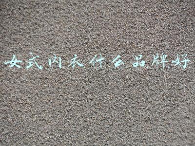 女式内衣什么品牌好