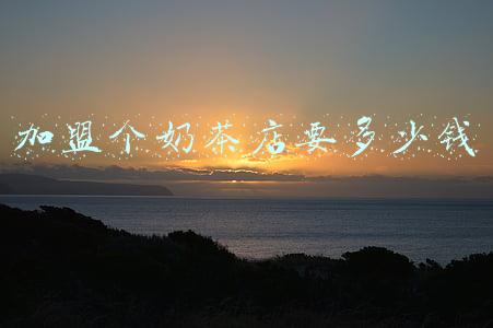 加盟个奶茶店要多少钱
