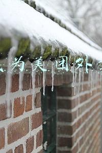 如何成为美团外卖骑手(怎么上外卖平台，怎么做外卖骑手？一看全明白)