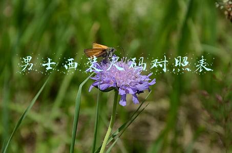 男士西装尺码对照表