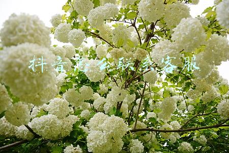 抖音怎么联系客服退货(抖音平台商品如何退货)