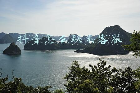 抖音怎么联系客服