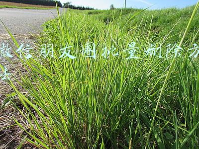 微信朋友圈批量删除方法想发发呆(关闭朋友圈，从此每天多出了一个半小时)