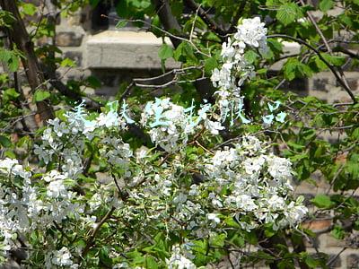 美肤宝护肤品孕妇可以用吗(美妆好物：美肤宝胶原蛋白面膜，重塑健康肌肤)