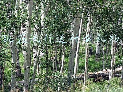 现在流行送什么礼物 现在流行送什么礼物