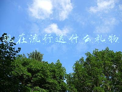 现在流行送什么礼物 现在流行送什么礼物