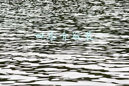 四季青服装 四季青服装