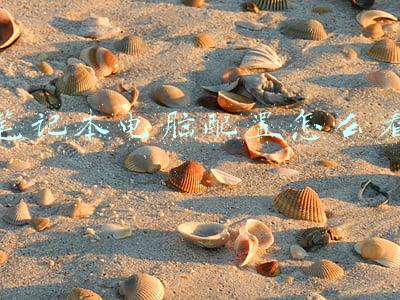 笔记本电脑配置怎么看怎么选(想买笔记本电脑，但不知道买什么配置也不懂选多少钱的，怎么办？)