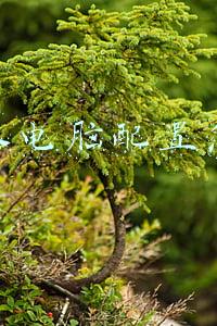 笔记本电脑配置怎么看 笔记本电脑配置怎么看