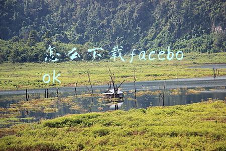 怎么下载facebook