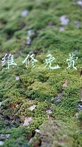 电脑维修免费上门 电脑维修免费上门