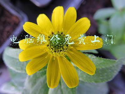 济南电脑维修免费上门(济南电工维修，电路维修)