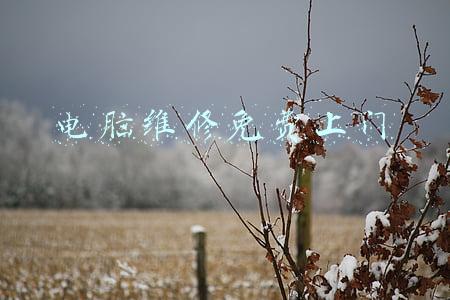 电脑维修免费上门 电脑维修免费上门