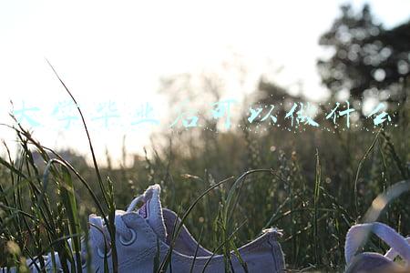 大学毕业后可以做什么