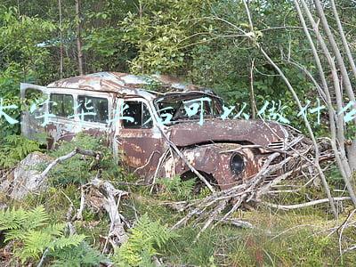 大学毕业后可以做什么