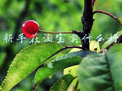 新手在淘宝卖什么好