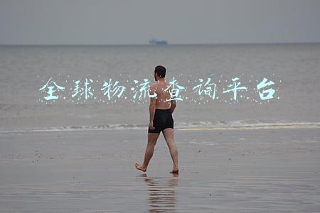 全球物流查询平台