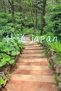 转送japan 转送japan