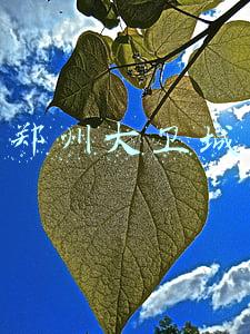 郑州大卫城营业时间(“烟火”气息即将归来 郑州丹尼斯大卫城昨日恢复营业)