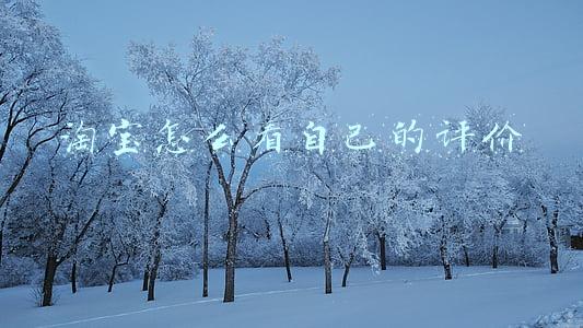 淘宝怎么看自己的评价星级(​亚马逊review和feedback、rating星级评分的区别和销量的关系)