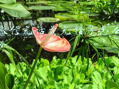 微信充话费充错了怎么办