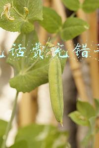 微信充话费充错了怎么办