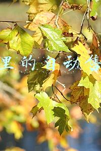 小区里的自动售水机