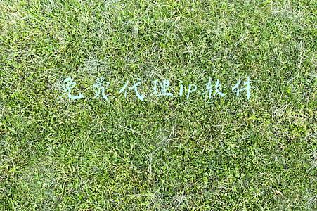 免费代理ip软件